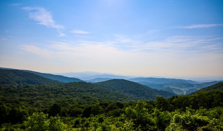 Secret Places And Hidden Gems In Virginia Southern Trippers