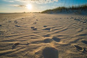 8 Beautiful Beaches In Mississippi - Southern Trippers