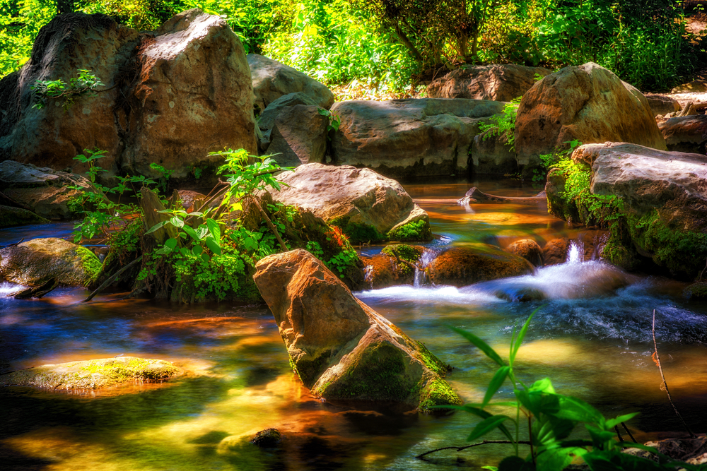 river flowing through rocks and plants