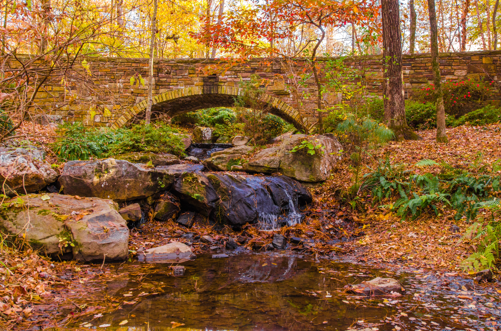 Garvan Woodland Gardens bridge with small river and waterfall and lovely arkansas fall foliage with trees in orange and red