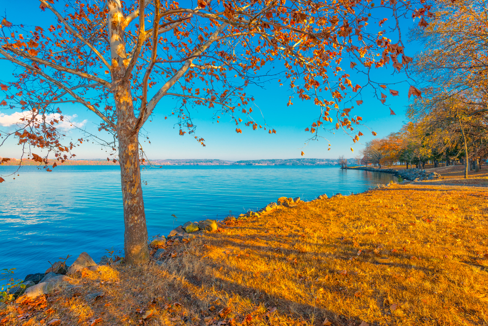 People come to Lake Dardanelle to experience one of the best beaches in Arkansas.