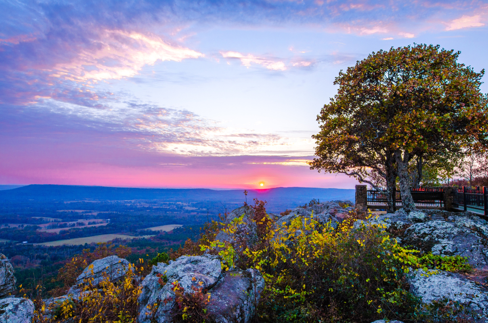 Petit Jean State Park overlook with a tree looking out over a pink sunset with green trees and is one of the best places to visit in Arkansas.