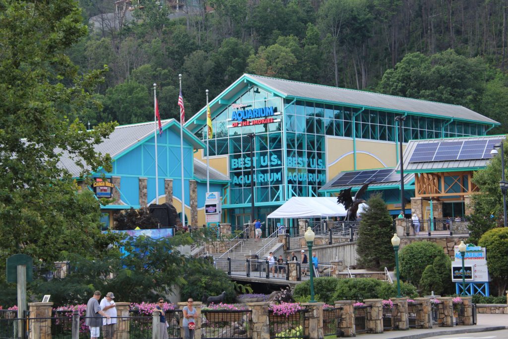 Photo showing the outside of Ripley's Aquarium in the Smokies located in Gatlinburg. One of the family-friendly things to do in Gatlinburg.