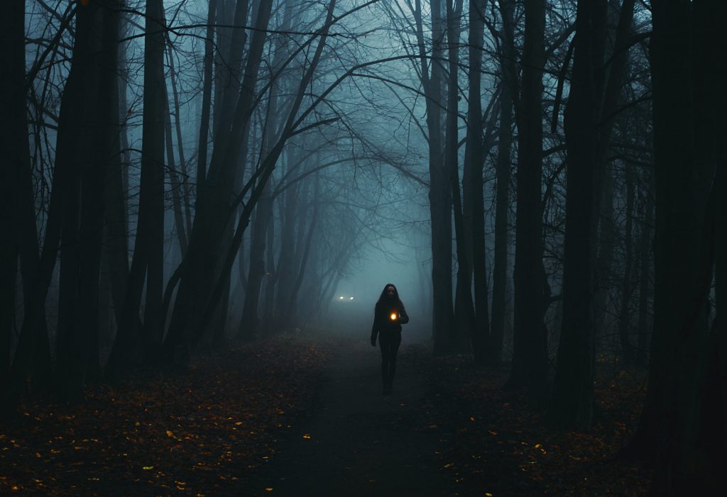 Photo of a foggy wooded area featuring a person walking in the dark with a latern.