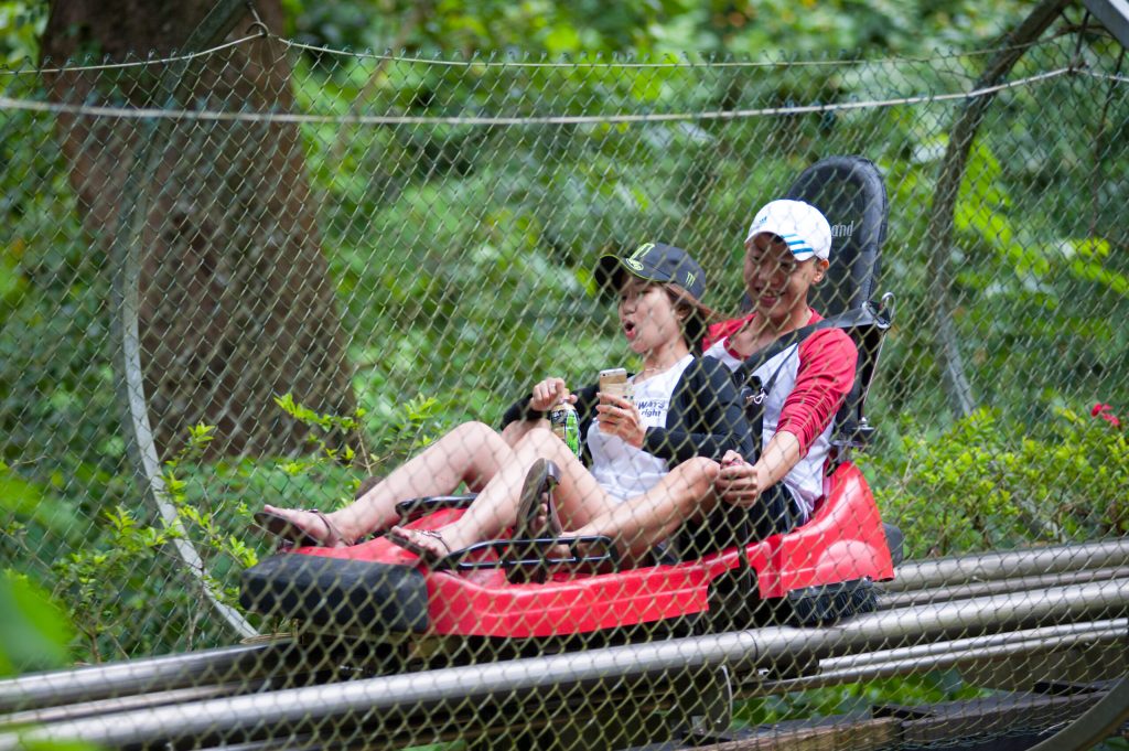 Photo of two people riding a mountain coaster with a hand brake, one of the more thrilling things to do in Gatlinburg. 