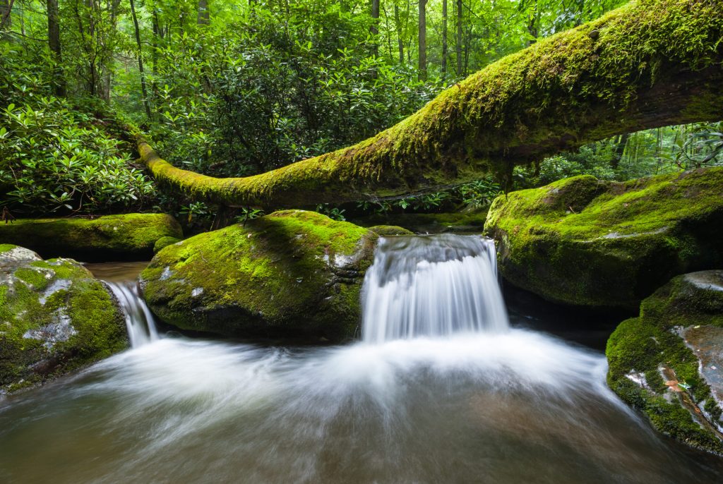 Photo of the Roaring Fork Stream located in the Great Smoky Mountain National Park, one of the great free things to do in Gatlinburg. 