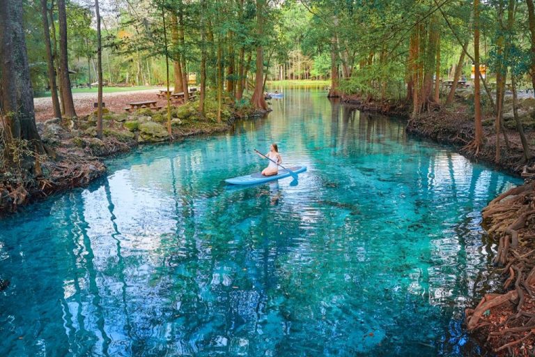 20 Epic Places To Visit In The South, USA Southern Trippers