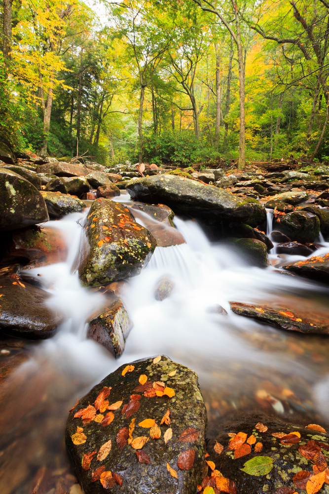 Beautiful river in the Great Smokey Mountains National Park.