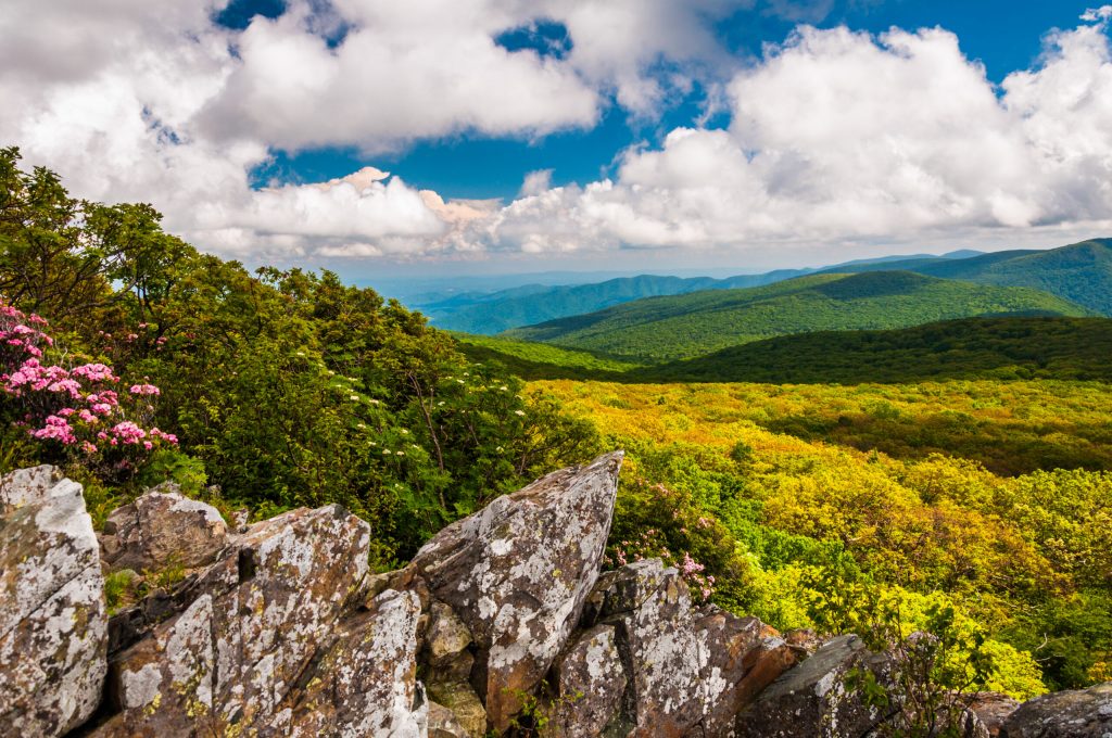 Photo of Shenandoah National Park.