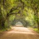 Botany Bay Plantation is one of the best south Carolina road trips