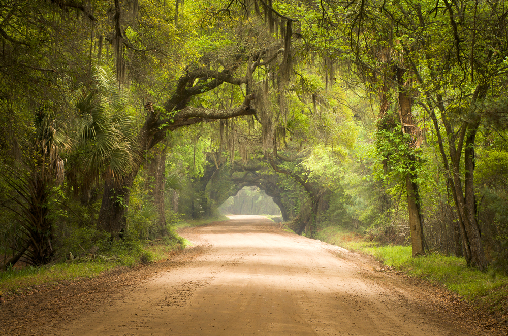 Botany Bay Plantation is one of the best south Carolina road trips