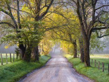 best road trips in Tennessee