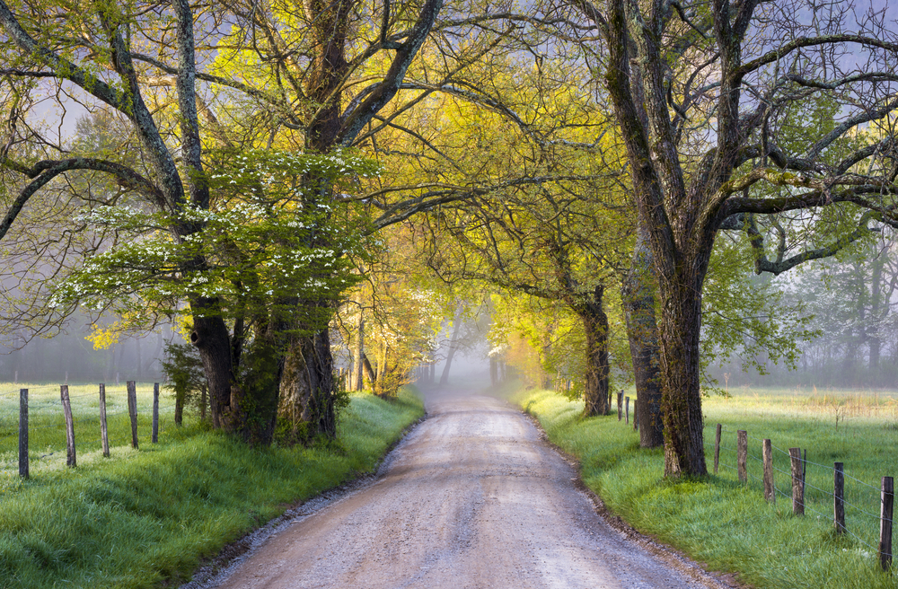 15 Fun Tennessee Road Trips For Your Bucket List (2022)