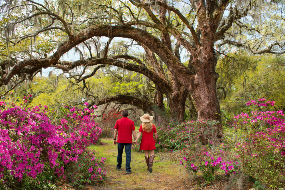 A couple holding hands in a nature preserve in Charleston one of the most romantic getaways in the south