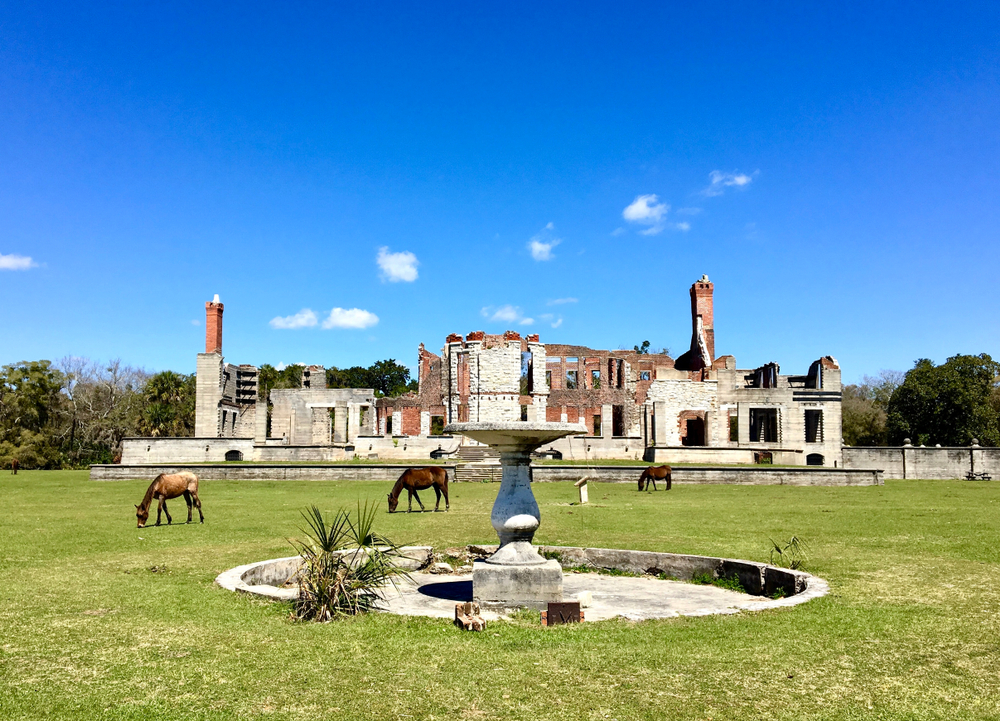 The Dungeness Ruins on a sunny day with wild horses grazing on the front lawn a perfect stop on an abandoned places in Georgia road trip