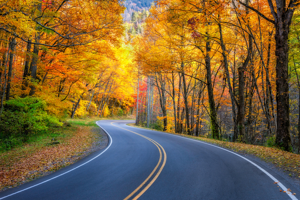 A road in the great smoky mountains surrounded by trees with yellow, orange, and red leaves in the fall.