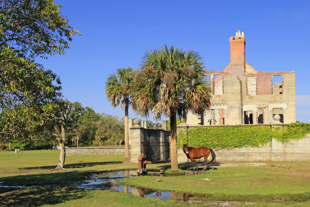 Horses graze near the entrance to a historical fort on the Conservational Island national Seashore.