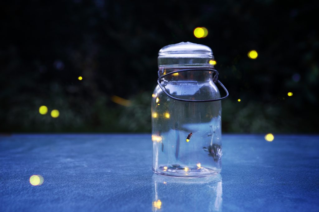 A jar holds a firefly, ready to be released at Grandaddy, one of the happiest hidden gems in the South.