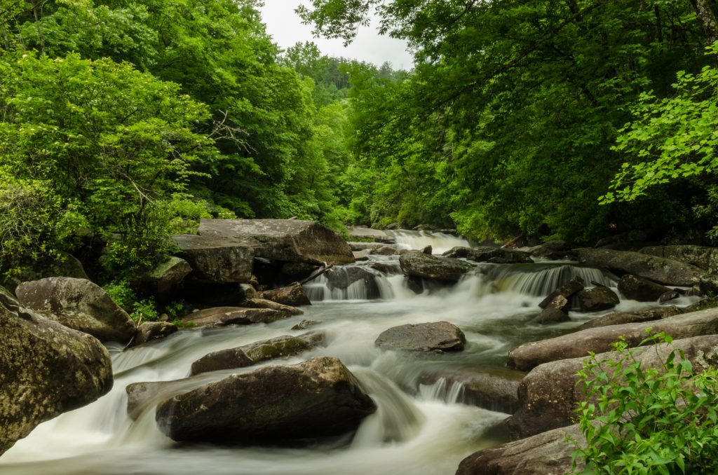 The waterfalls cascade thunderously at Gorges State Park.