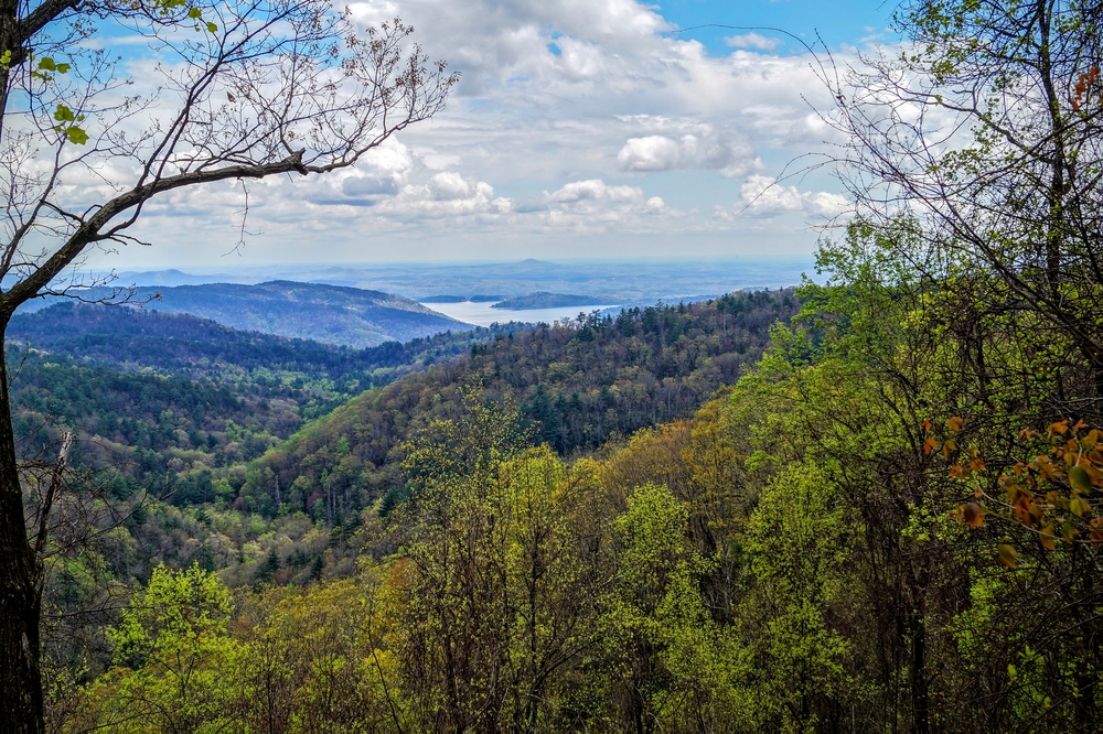 The view of the Nantahala National Forest from one of the many overlooks on the Oscar Wingington Scenic Byway