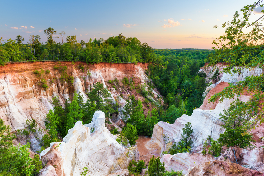 Providence Canyon in Georgia, a canyon made of red clay and loam that resembles the Grand Canyon