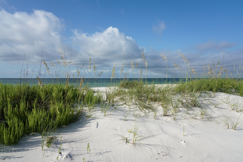 Gulf Islands National Seashore is a southern national park that runs through florida and mississippi