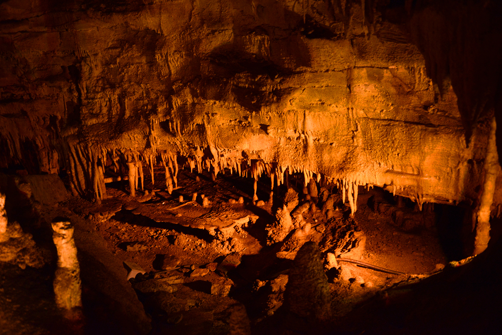 Mammoth Cave National Park, Kentucky is such an interesting place to visit, you can take guided tours