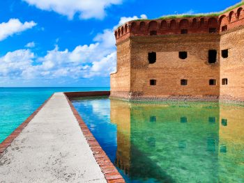 The Dry Tortugas has some gorgeous marine life