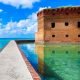 The Dry Tortugas has some gorgeous marine life