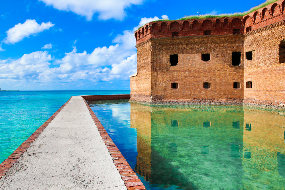 The Dry Tortugas has some gorgeous marine life