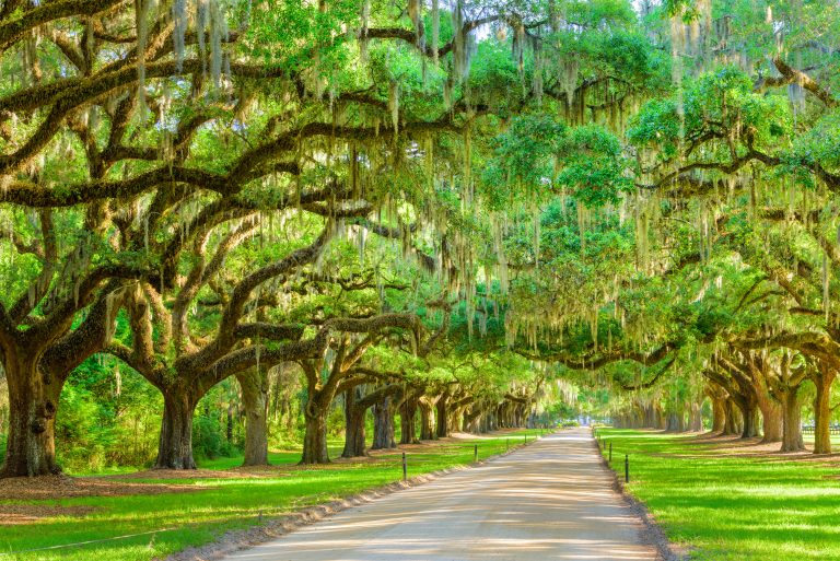 15 Fun Southern USA Road Trips For Your Bucket List - Southern Trippers