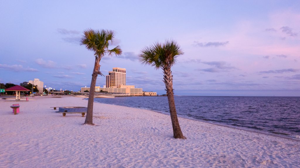 Two palm trees sway in the wind in Biloxi Beach, a perfect trip on a Southern road trips.