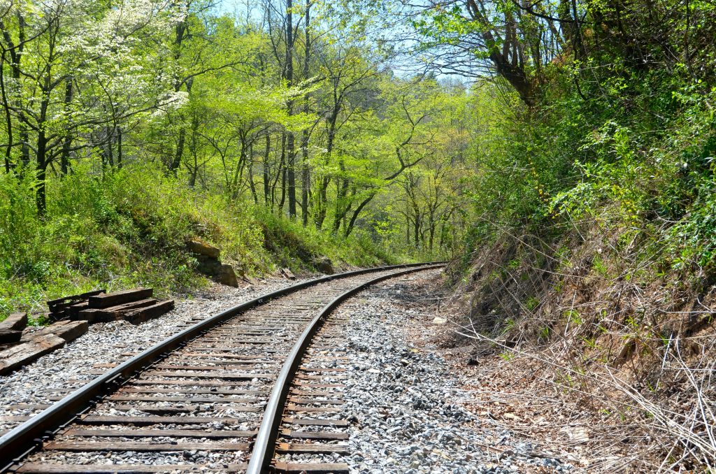 The view of the tracks from the Blue Ridge Scenic Railway, a perfect destination on one of the many Southern road trips in Georgia.