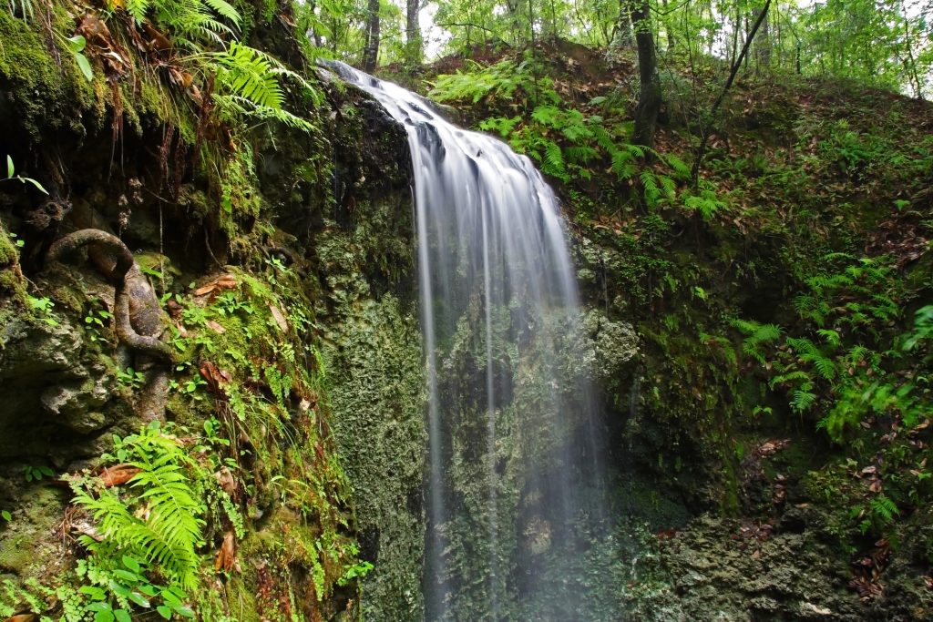 Falling Waters State Park, a perfect stop on one of the many Southern road trips through Florida.