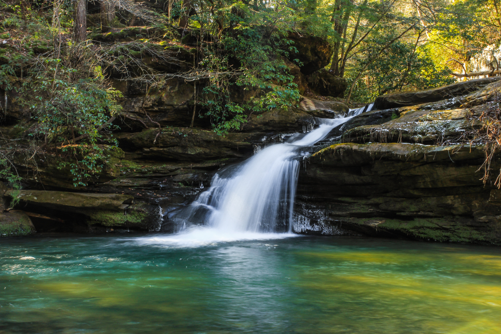 A photo of Lower Caney Creek Falls in Bankhead National  Forest one of the best things to do in Alabama