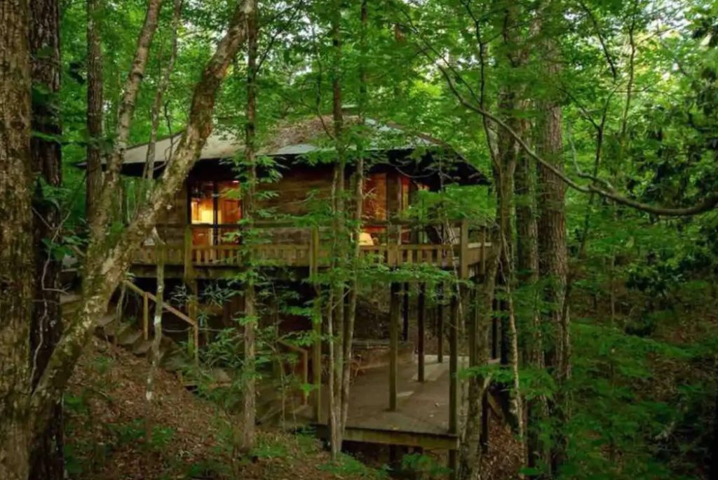 A cabin surrounded by dense green woods