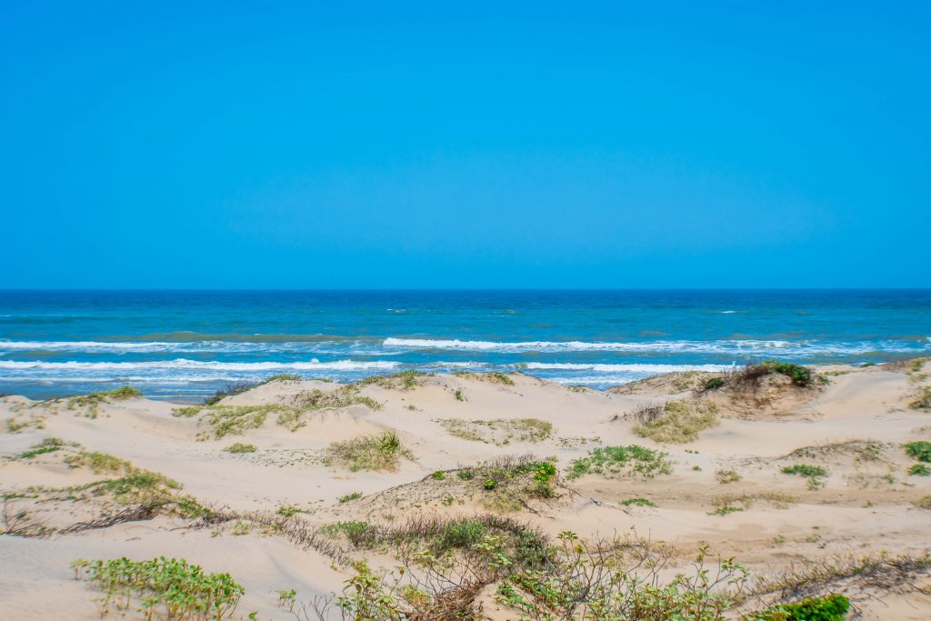 A picture of sandy dunes and the ocean on South Padre Island Beach. One of the prettiest beaches in Texas