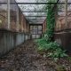 creepy penitentiary with overgrown plants is one of the most haunted places in the south