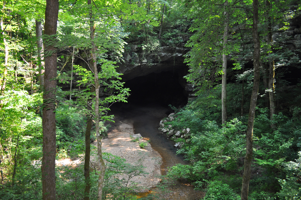 The entrance to one of the best caves in Alabama Russell Cave