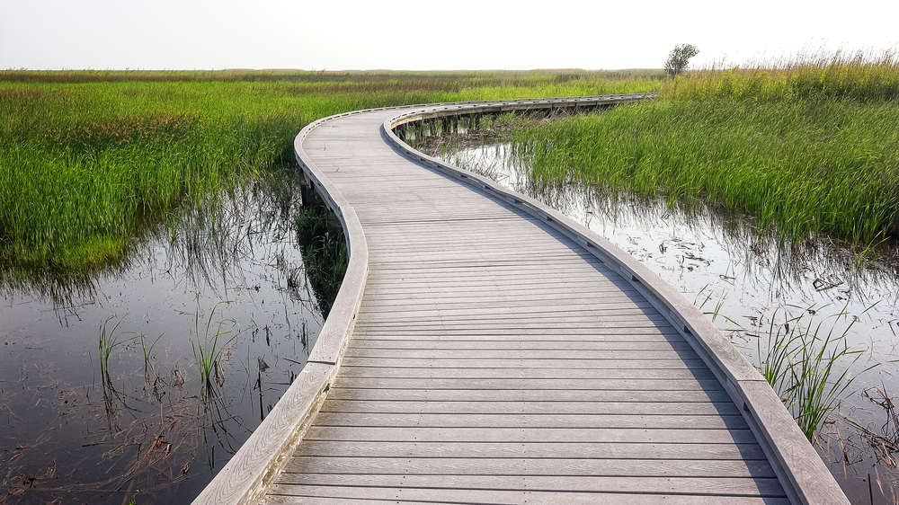 Photo of the boardwalk trail at the Wetland Walkway at Sabine National Wildlife Refuge, one of the most scenic places for hiking in Louisiana.