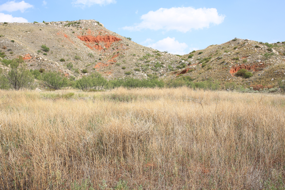 Exposed rock on the hills in Alibates Flint Quarries National Monument.