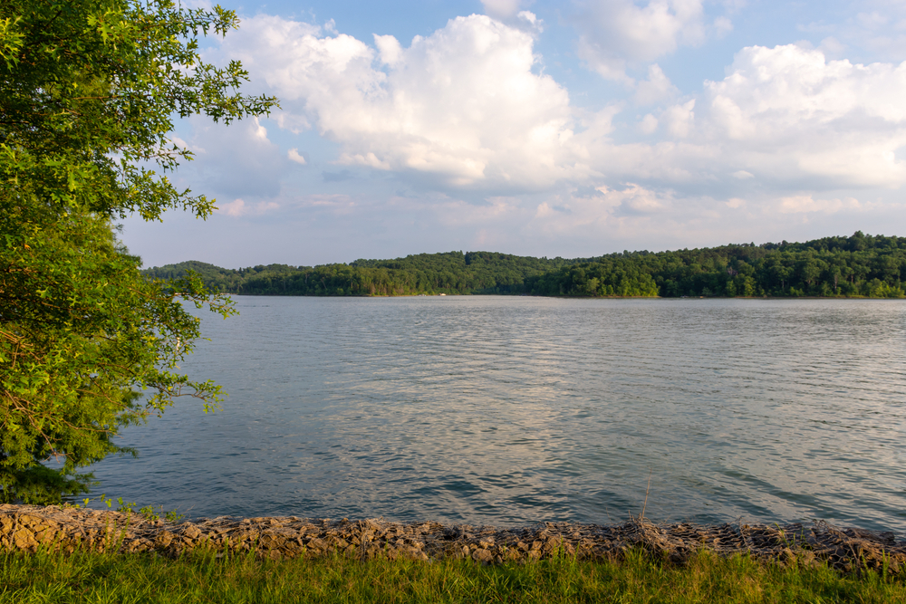 A look at the calm waters of Nolin Lake from the coast in the State Park. Editorial credit: Michele Korfhage / Shutterstock.com.