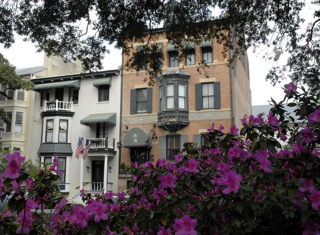 The Foley Hotel a red brick building in the background with purple flowers in the foreground.