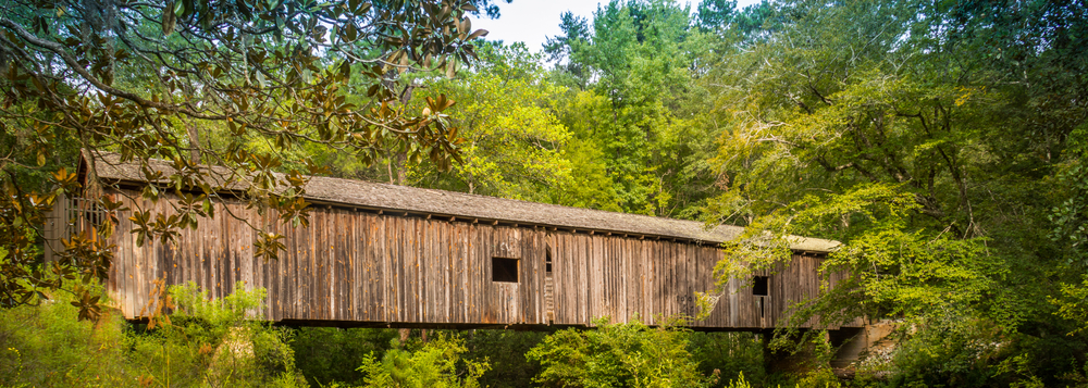 Photo of secluded Coheelee Creek Covered Bridge.