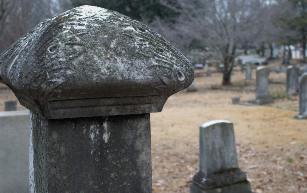 A photo of moss laden tombstones at Maple Hill Cemetery