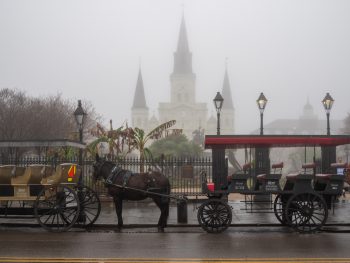 creepy carriage on a new orleans ghost tour in the mist