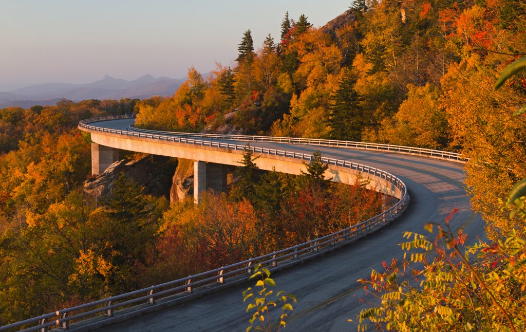 A road winds through the changing leaves on a North Carolina road trip.