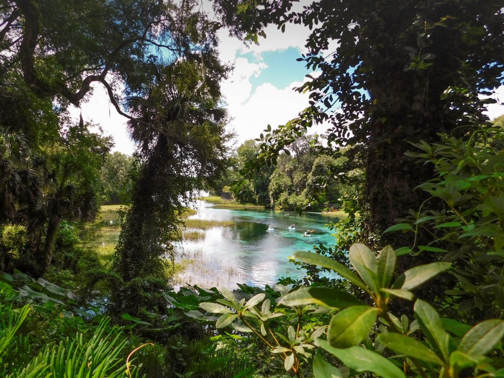 this southern state park gives you the opportunity to see rainbows in the water!