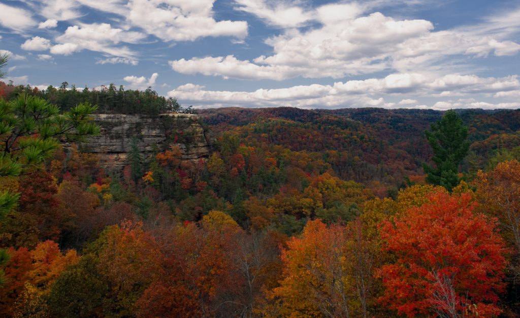 The Red River Gorge is littered with hues of orange and yellow in the fall, home to three waterfalls in Kentucky.