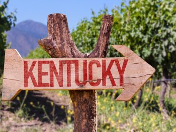 wooden sign that says Kentucky with vineyard in the background